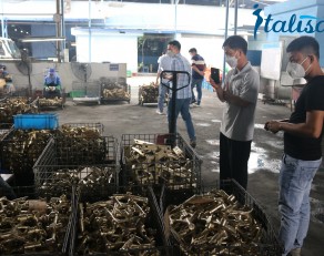 ITALISA NHẬN ĐÚC GIA CÔNG SẢN PHẨM BẰNG ĐỒNG KẼM THEO YÊU CẦU